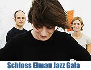 Schloss Elmau JazzGala im Prinzregententheater (Foto: Michael Wollny, Veranstalter)